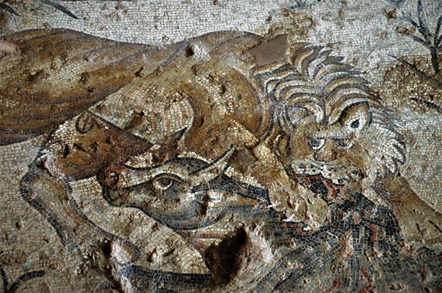 The mosaics of Sepphoris are among the most beautiful in Israel