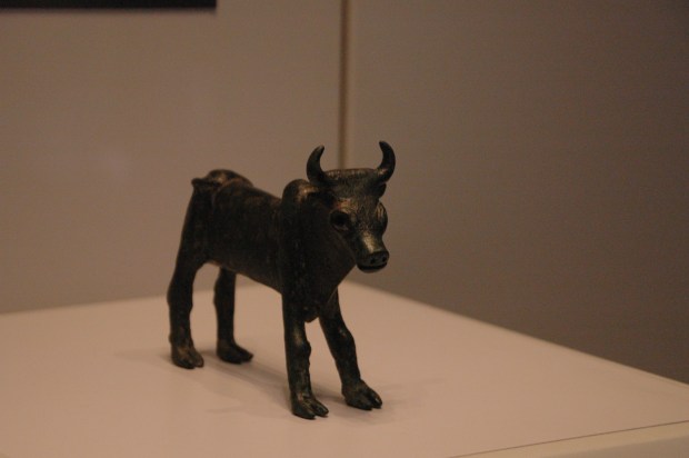 A bull statue, also used for idol worship.