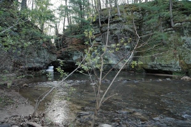 Skillet Creek drops through a rocky gorge.