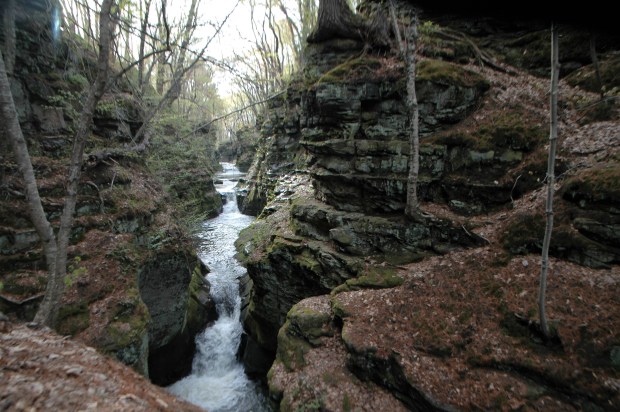 The rocky gorge is truly beautiful.