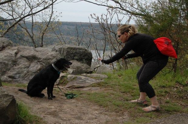 Ashley helps her dog Lexi take a selfy