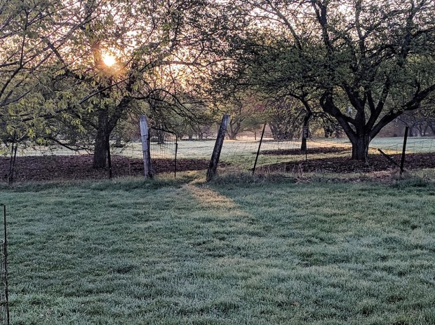 So many memories with this old gate. 