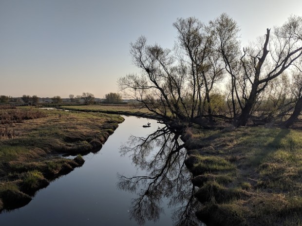 the serenity of 9 Springs Creek. 