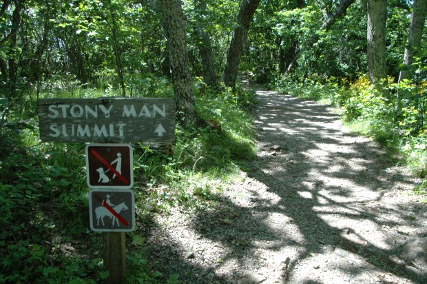 The trail led to the top of the mountain.