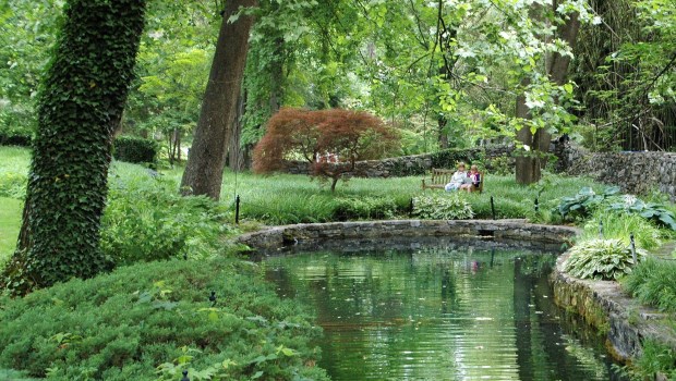 Lana and Audrey had some time for reflection.