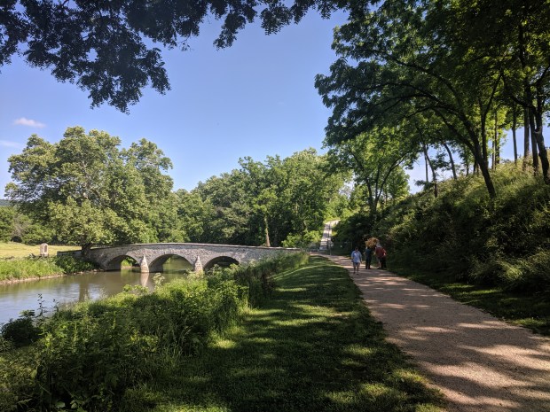 The sycamore tree at the eastern end of the lower bridge is still in place, 157 years later.