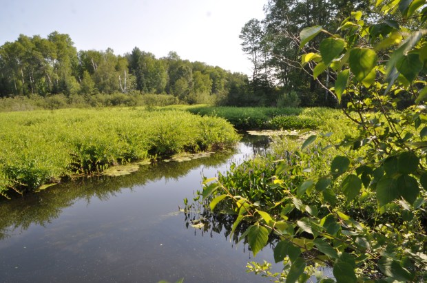 The trail travels along Bearskin Creek and we passed lakes and marshes.