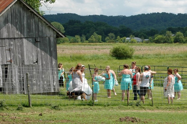 Wait, is that another dog trying to crash the wedding photos? 
