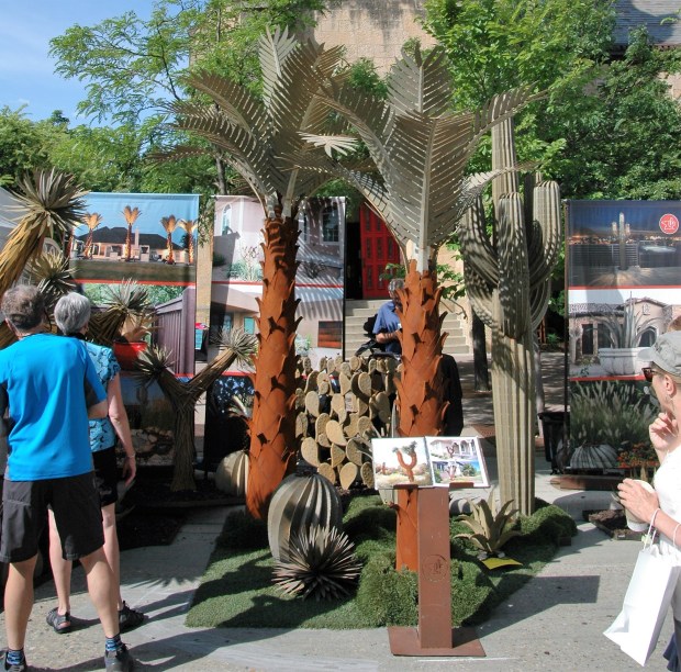 If you're looking for a Palm Tree or a cactus, you can find that at the Art Fair also.