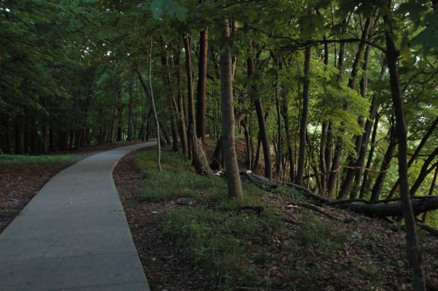 The path along the ridge beckoned me to follow. 