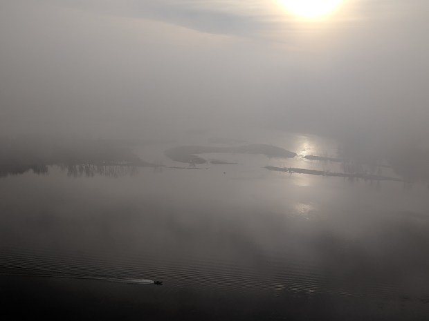 By the end of my walk, the fog had taken over the river. 