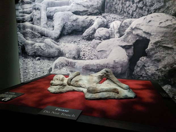 Another plaster cast of a volcano victim.