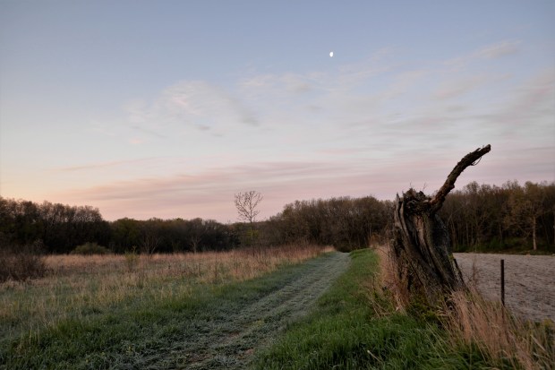 frost covering the path.