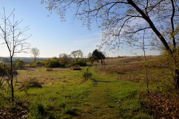 The trail beckons on. 