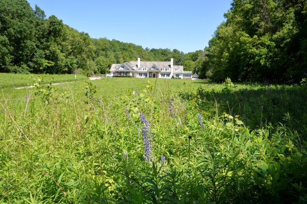 There are also a lot of expensive-looking rural estates tucked back in these valleys. 