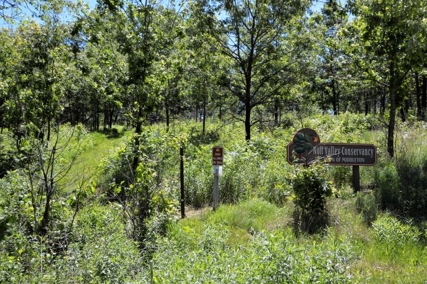 In addition to the Ice Age Trail, there are Noll Valley Conservancy side trails,