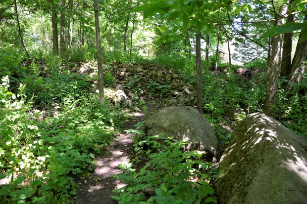 The trail cuts through a pile of glacial rocks, all smoothed from their long glacial journey from Canada. 