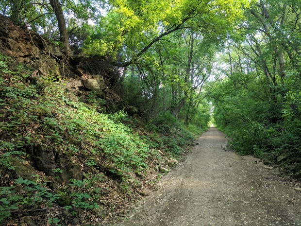 the Badger Trail flattened out the hills