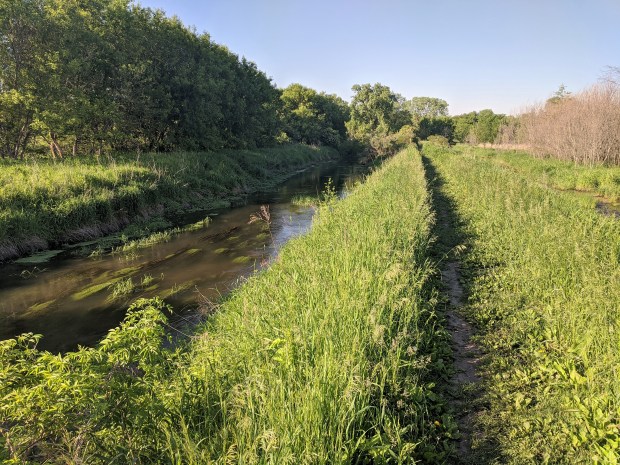 The trail heads south alongside Badger Mill Creek. 