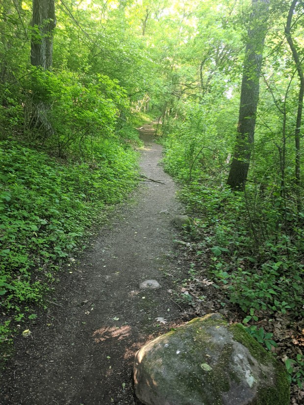 The trail rises out of the bottomland.
