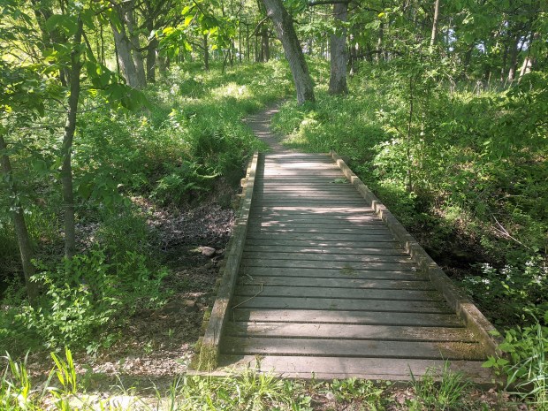And then plunges in to the Moraine Kettles Preserve.