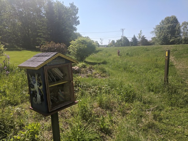 There was also a Little Library along the trail, 