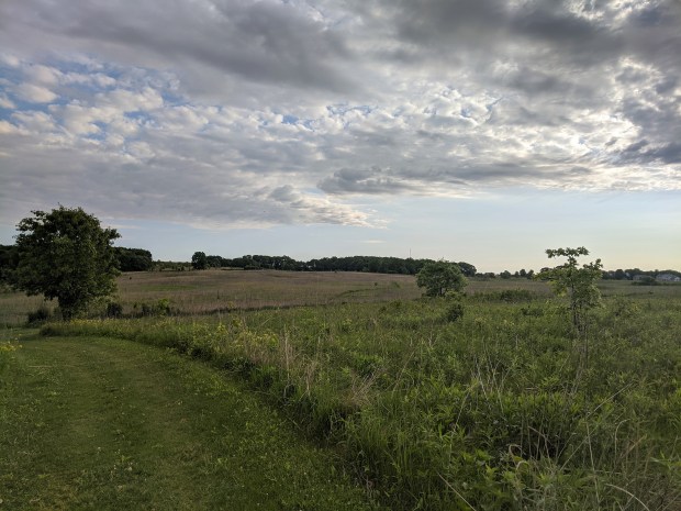 The north end of the Verona segment passes through the restored prairie of the Ice Age Junction Area, the green space that separates Verona from Madison. 