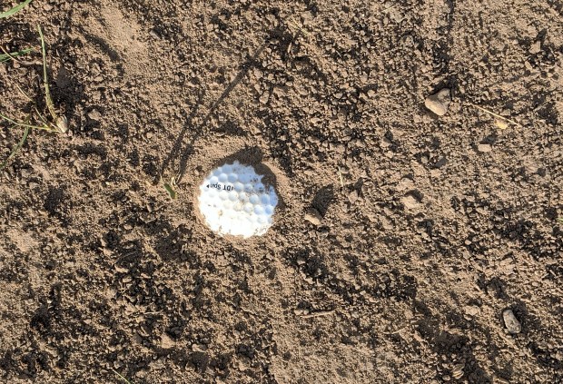 I had the opportunity to pick up a golf course souvenir but decided to play it as it lay, and let it lay. 