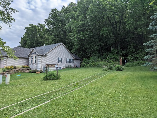 Just a few blocks from the IATA offices the trail leaves city streets and dives into the woods. 