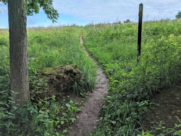 Approaching the prairie 