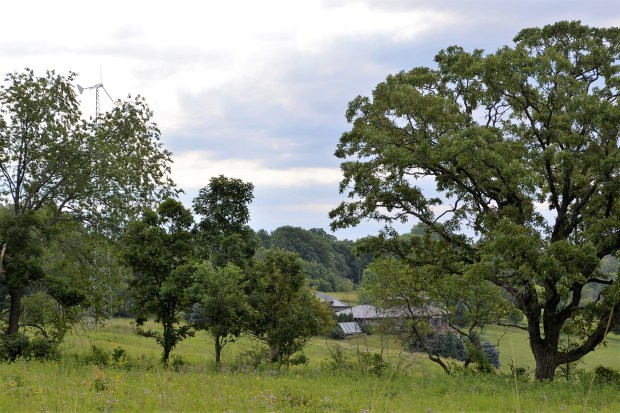 Near the far end of the path someone was living off the grid, with solar and wind power.
