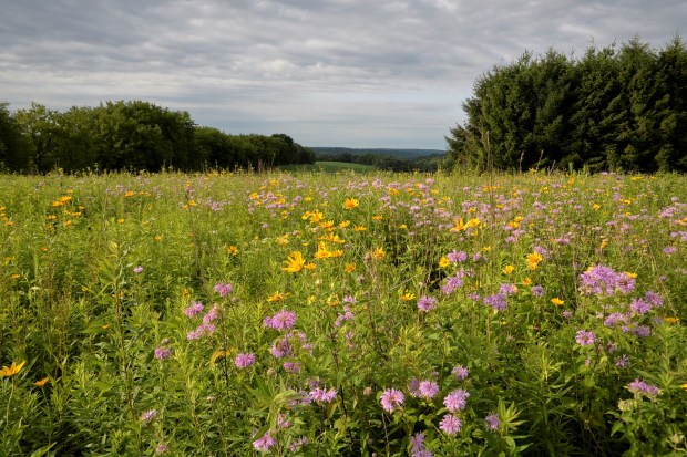 Then the sun came out. For just a minute.