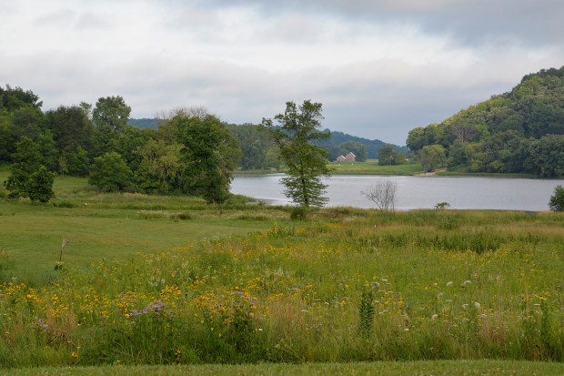 The lake is beautiful.