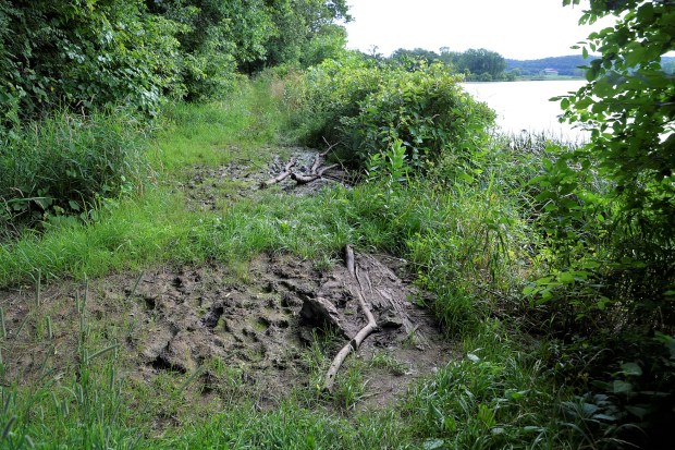 Along the north side several springs dribble into the lake,