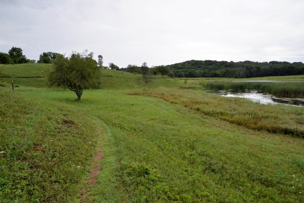 The path skirted a pond.