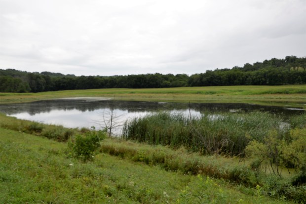 And then it began to rain.