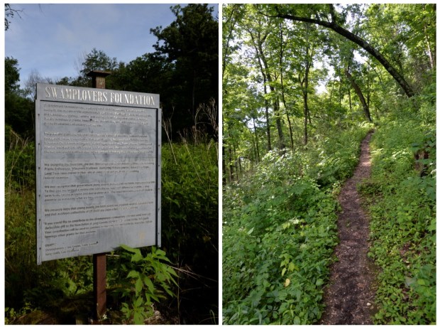 We knew it was a swamp because of the Swamplovers.