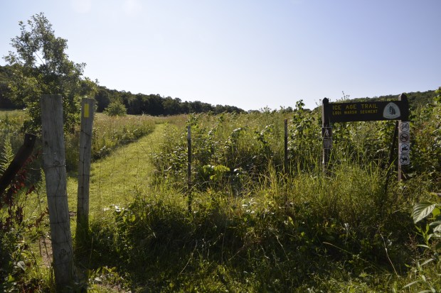 The final segment of the trail begins across the road from the other Lodi Marsh segment.
