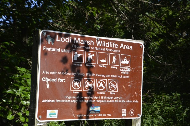 The signs also specify what you can and cannot do here.