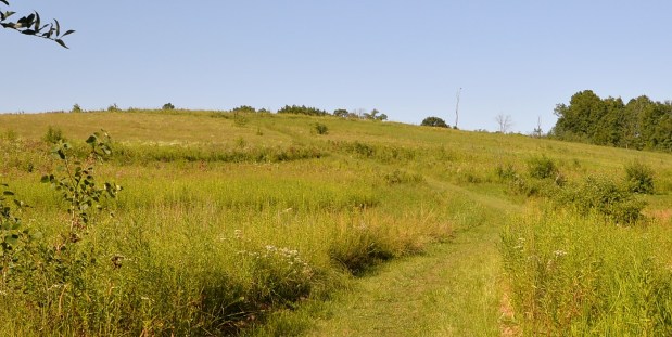 _DSC0891 (2)