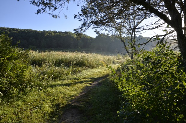 The fields were glistening in the early morning sun. The fields were glistening in the early morning sun.