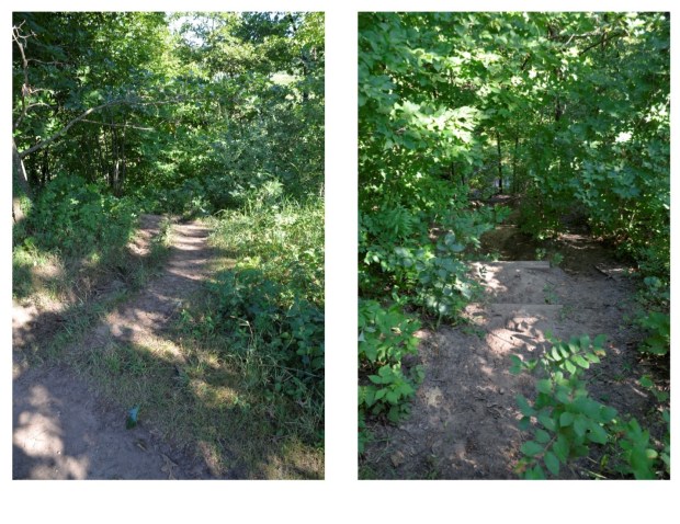 SideTrail