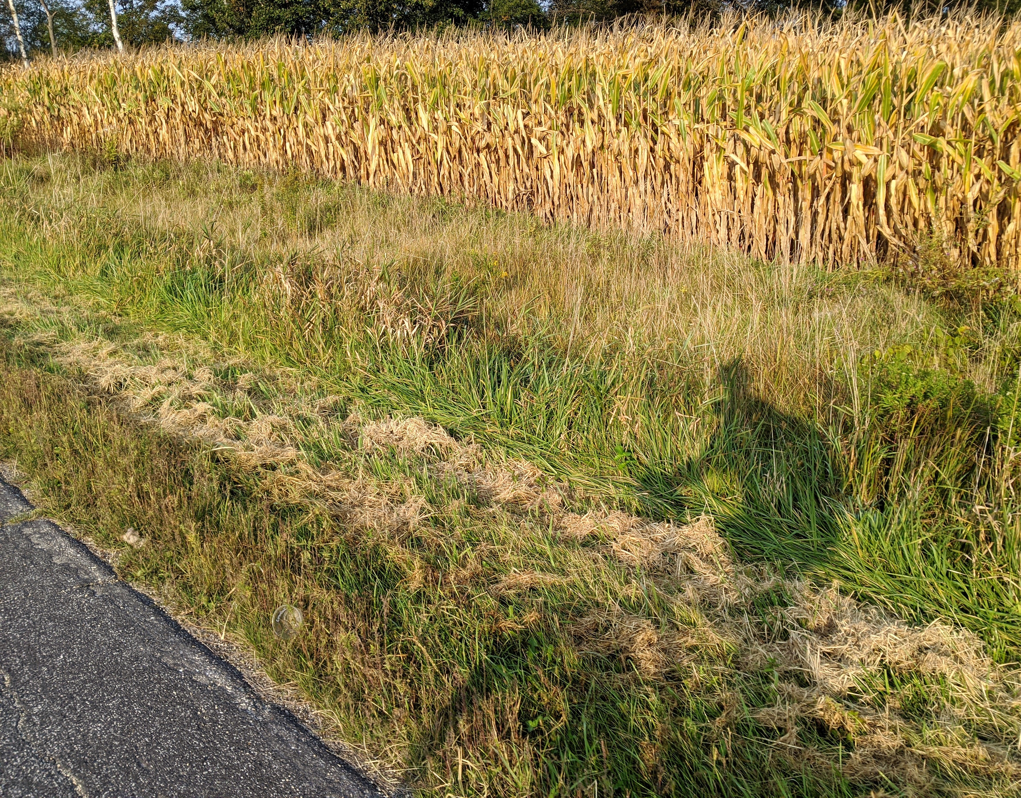 Chasing the last hour of summer