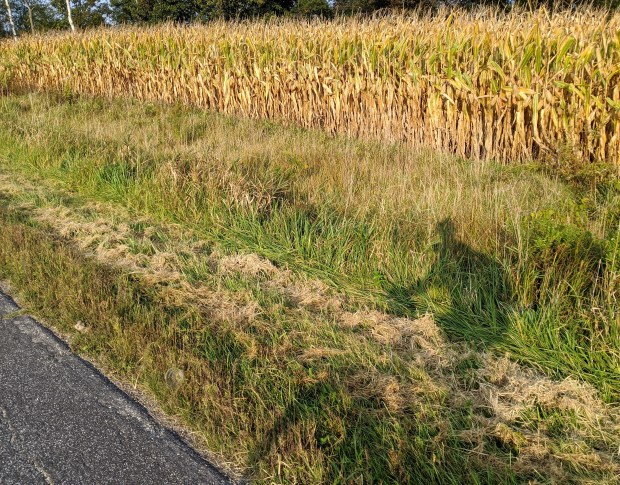 Chasing the last hour of summer