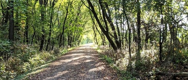 PXL_20200925_135951439 (2)