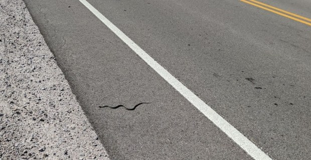 PXL_20200925_174346021