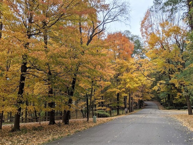 PXL_20201017_170341618