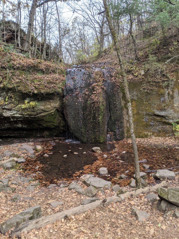 PXL_20201020_150941972.MP