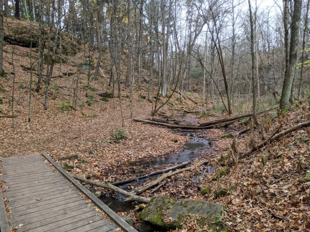Then we decided to follow the stream. This is called The Lost Canyon Trail.