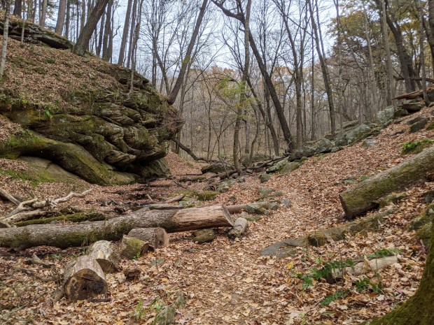 PXL_20201020_151651186